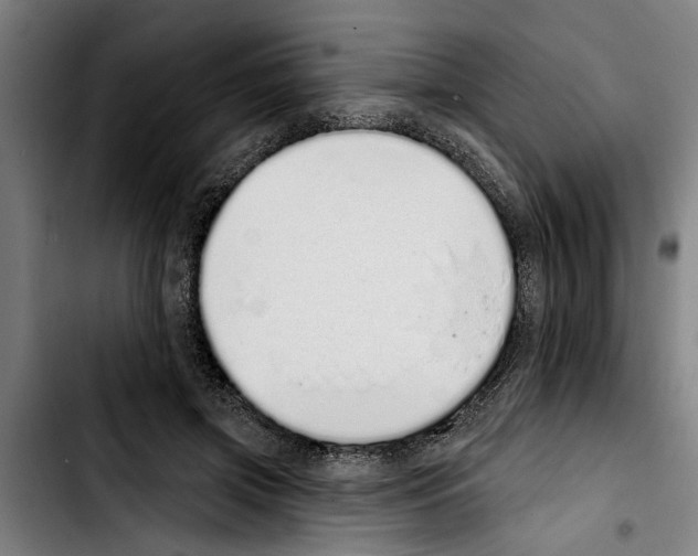 X0000103400549200810241013