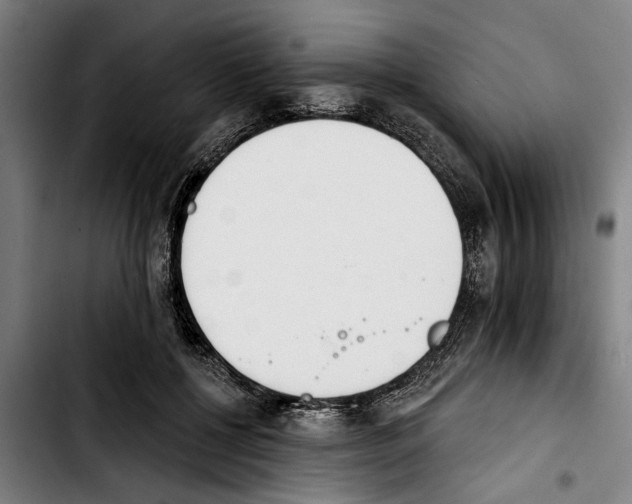 X0000103400552200810241013