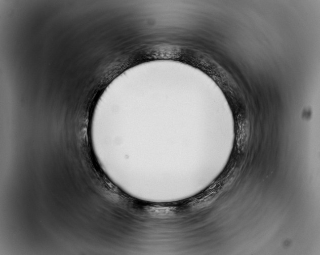 X0000103400553200810241013