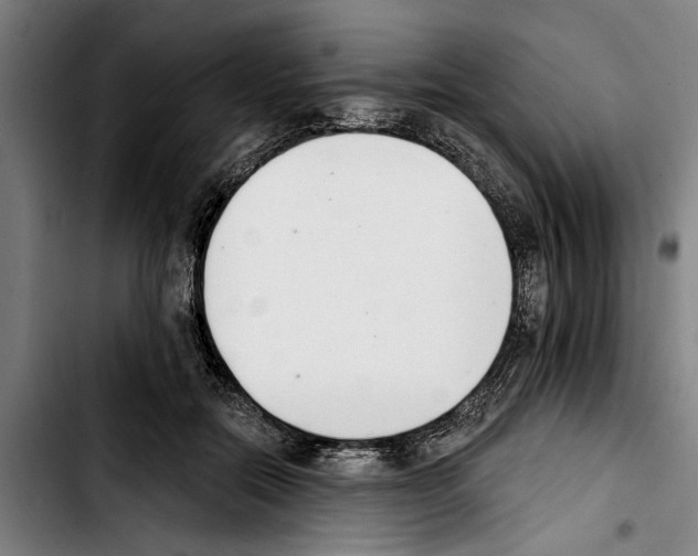 X0000103400554200810241013