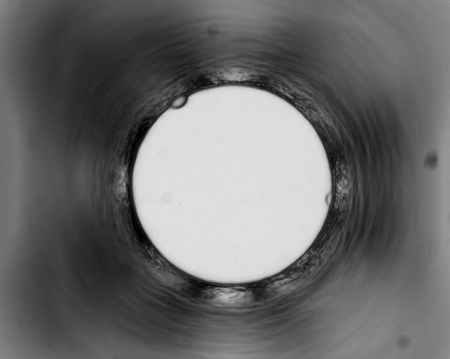 X0000103400555200810241013