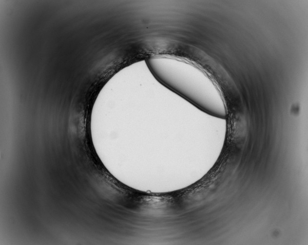 X0000103400558200810241013