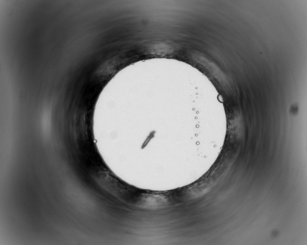 X0000103400572200810241013