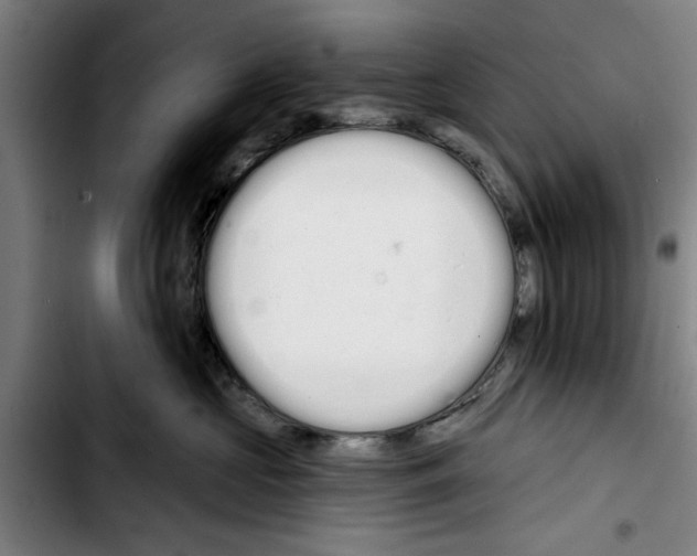 X0000103400573200810241013