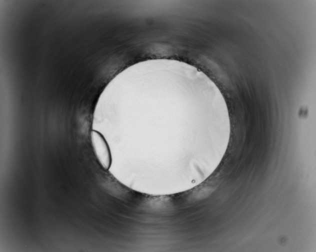 X0000103400576200810241013