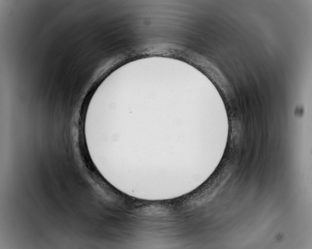 X0000103400578200810241013