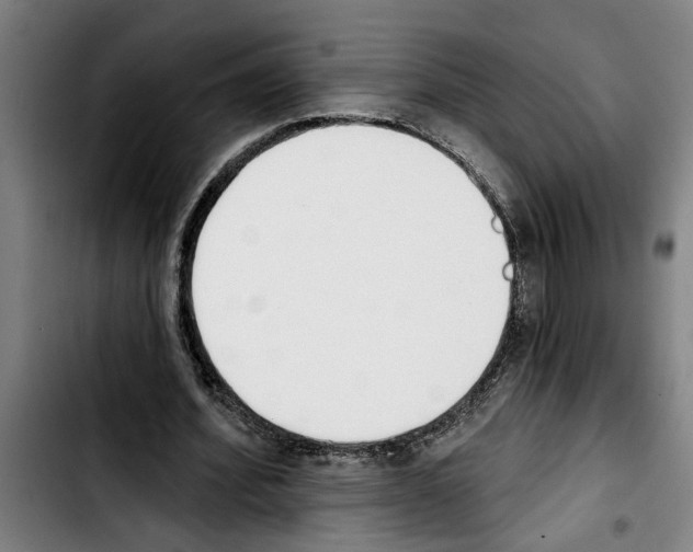 X0000103400580200810241013