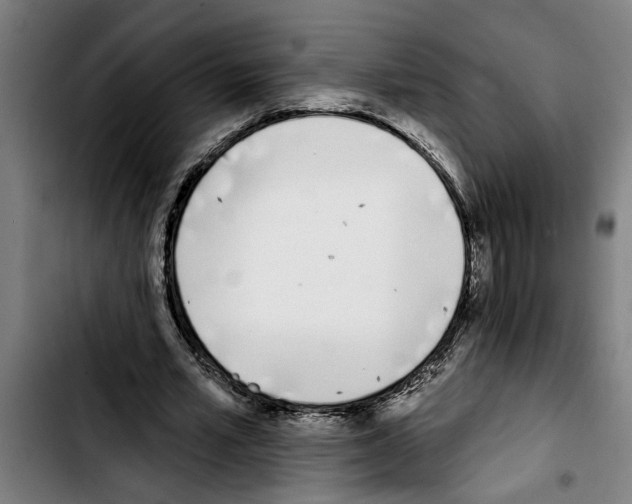 X0000103400581200810241013