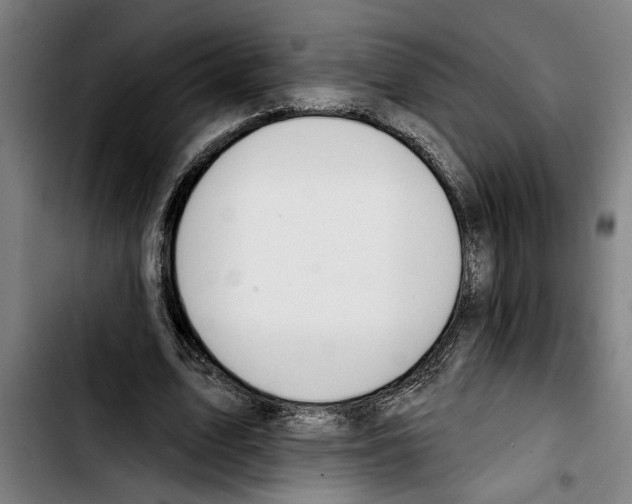 X0000103400583200810241013