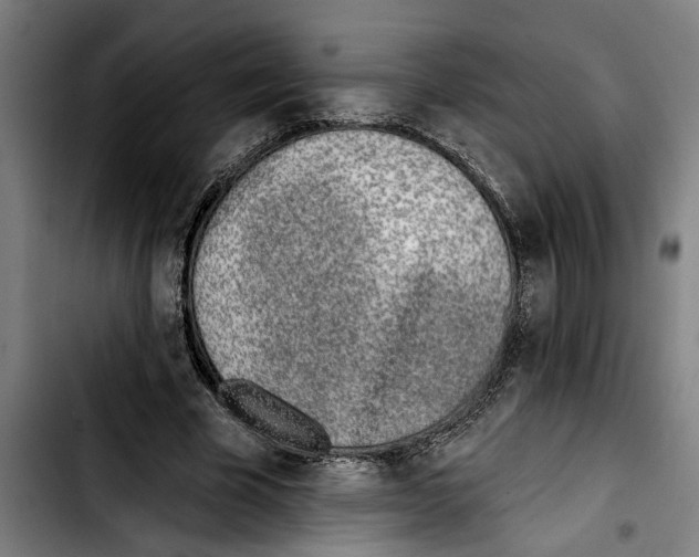 X0000103400585200810241013