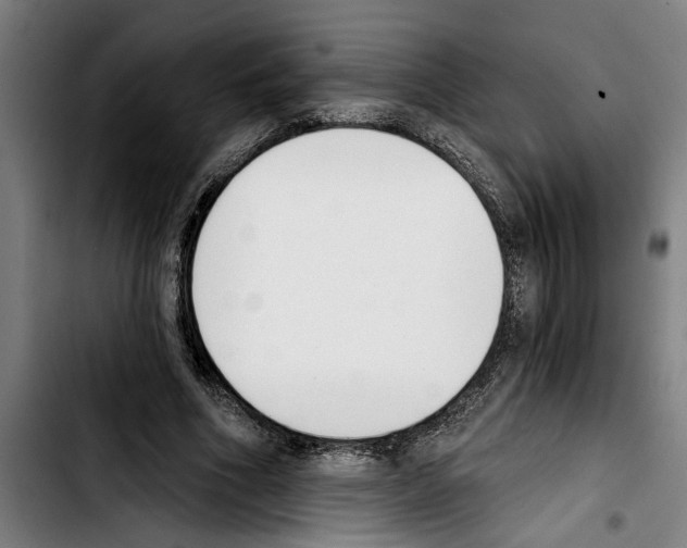 X0000103400586200810241013