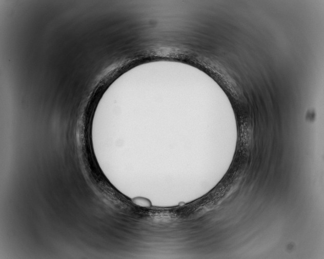 X0000103400587200810241013