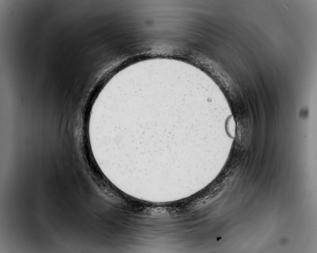 X0000103400588200810241013