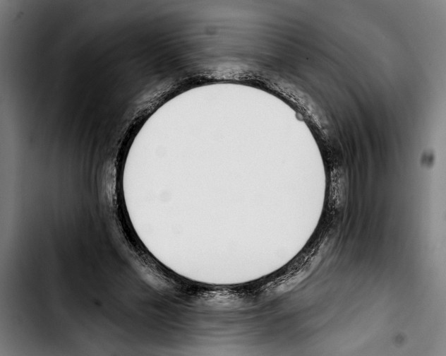 X0000103400589200810241013