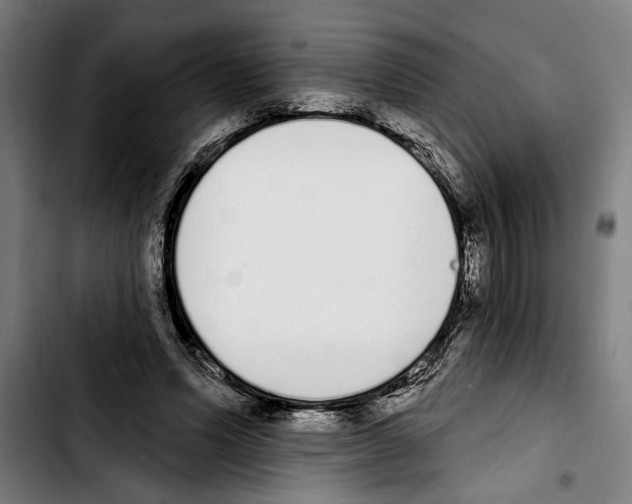 X0000103400591200810241012