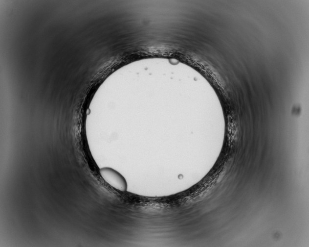 X0000103400593200810241012