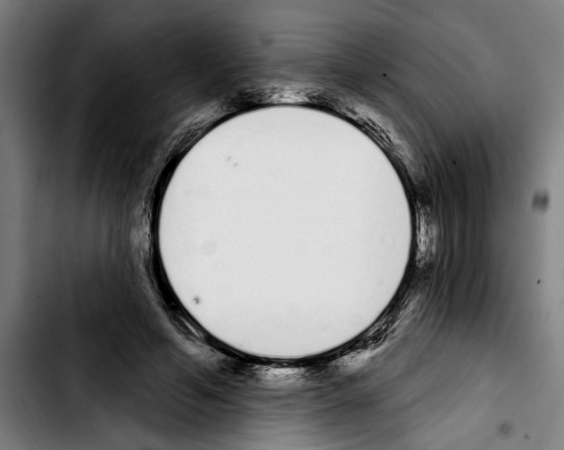 X0000103400594200810241012