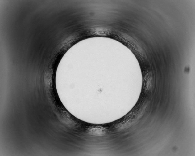 X0000103400595200810241012