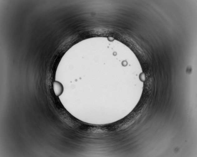 X0000103400597200810241012