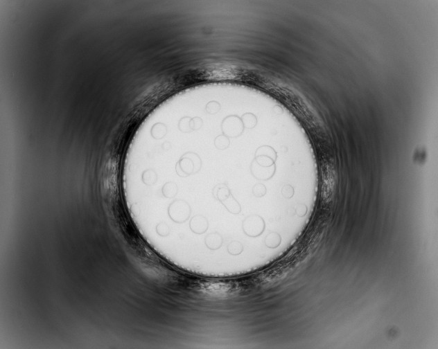 X0000103400598200810241012