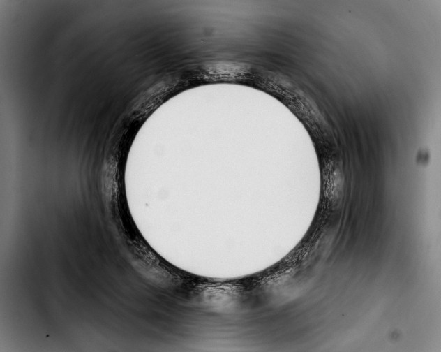 X0000103400599200810241012