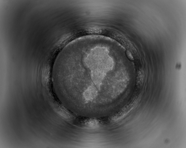 X0000103400600200810241012