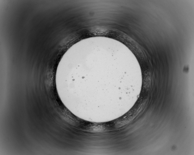 X0000103400604200810241012