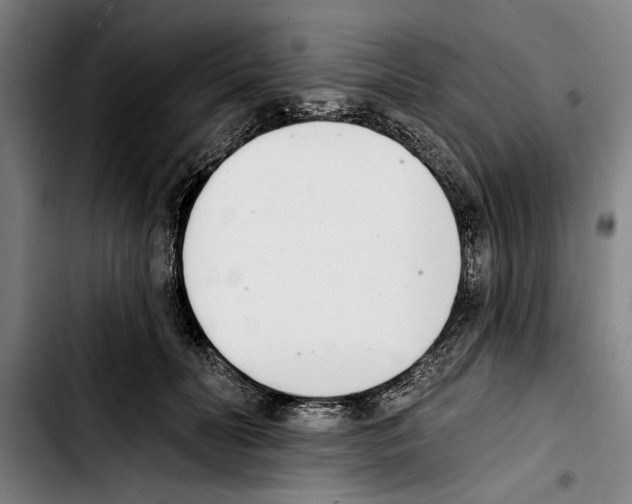 X0000103400606200810241012