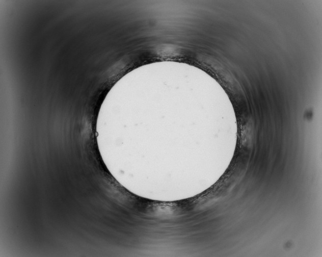 X0000103400618200810241012