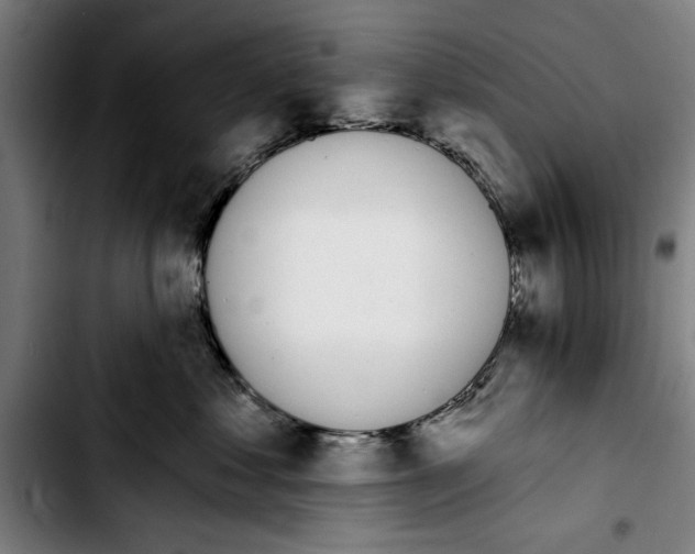 X0000103400621200810241012