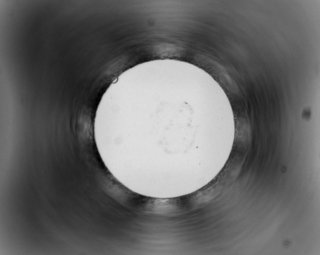 X0000103400622200810241012