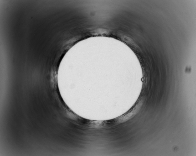 X0000103400624200810241012