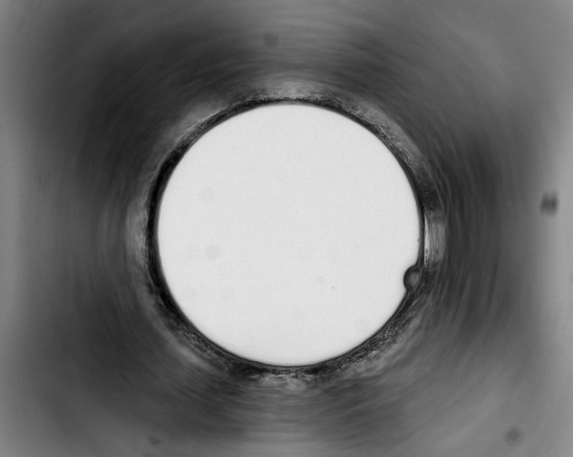 X0000103400627200810241011