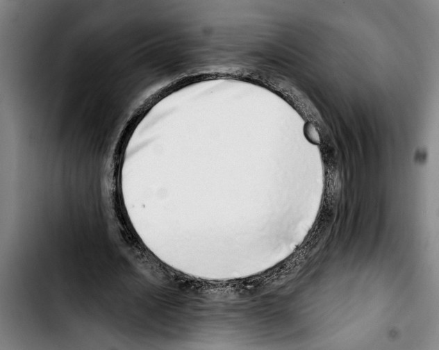 X0000103400628200810241011