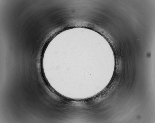 X0000103400629200810241011