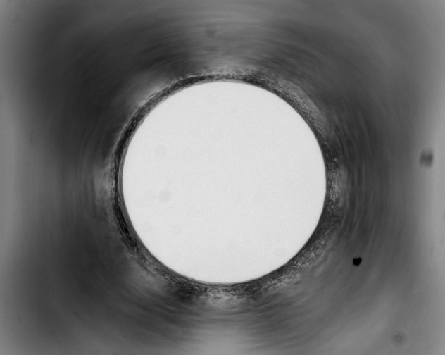 X0000103400632200810241011