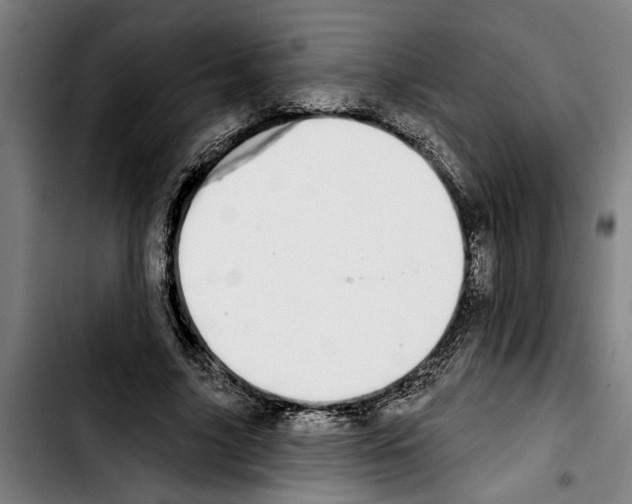 X0000103400635200810241011