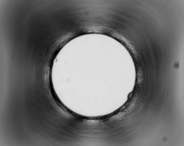 X0000103400637200810241011