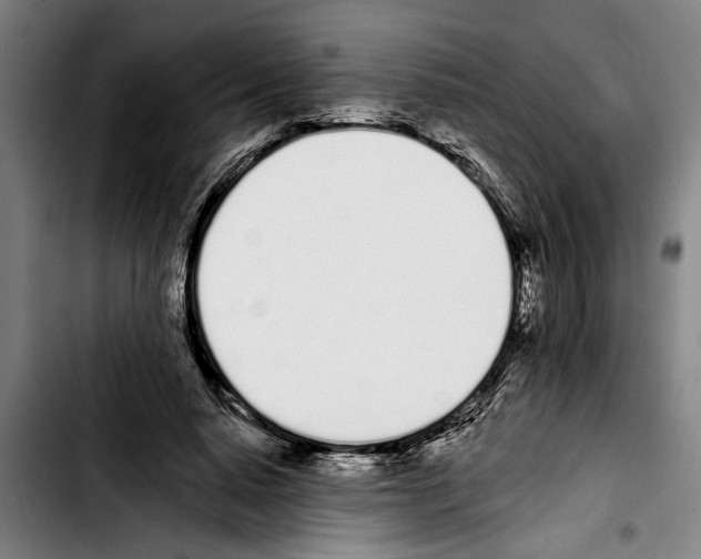 X0000103400640200810241011