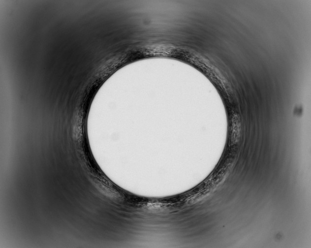 X0000103400641200810241011