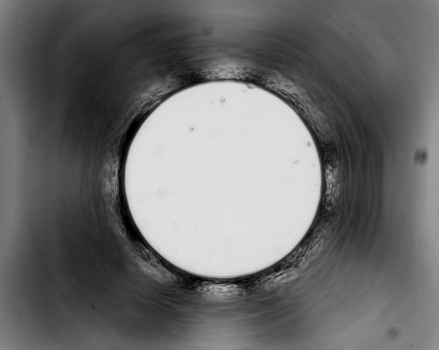 X0000103400642200810241011