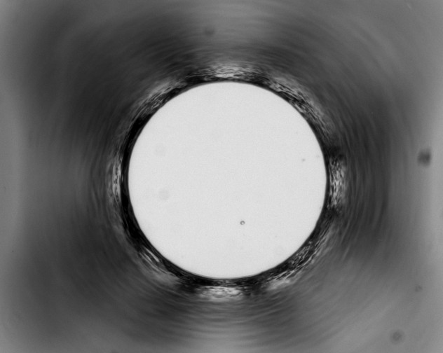 X0000103400644200810241011