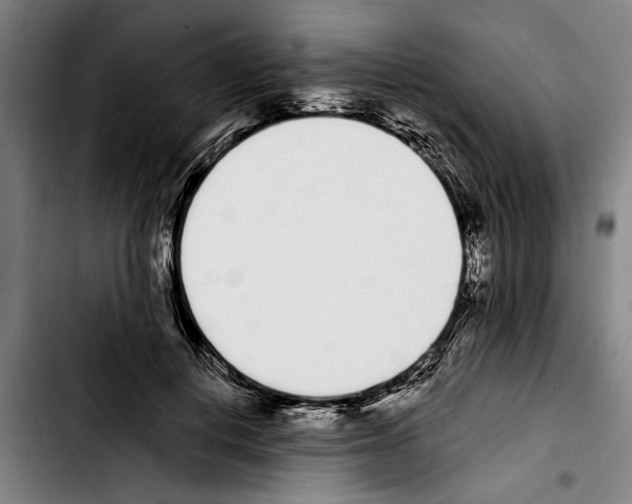 X0000103400648200810241012