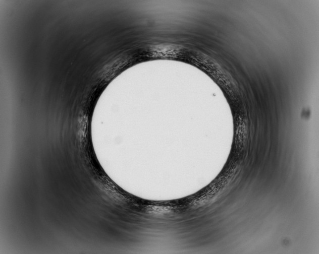 X0000103400649200810241012