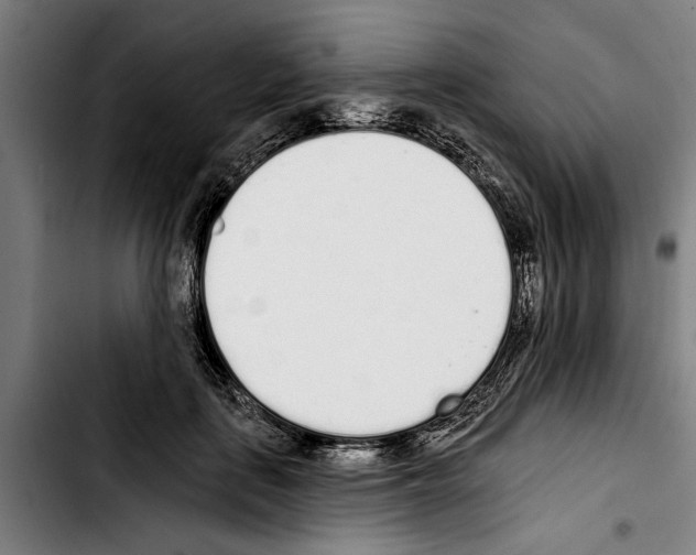 X0000103400651200810241012