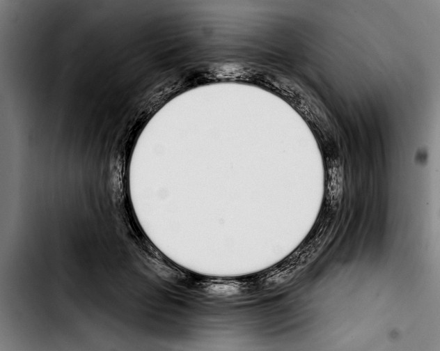 X0000103400653200810241012