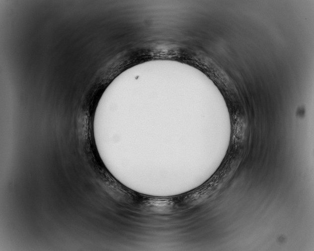 X0000103400659200810241012