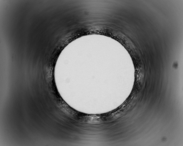 X0000103400660200810241012