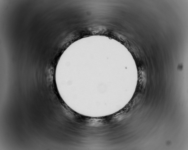 X0000103400664200810241012