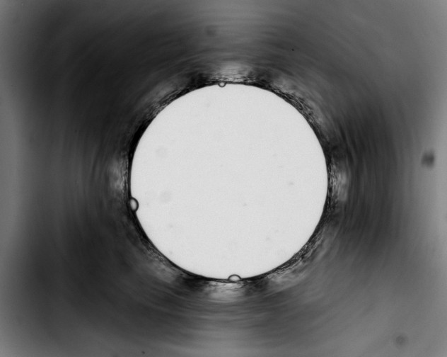 X0000103400665200810241012